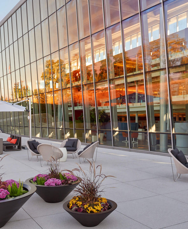 Reimagining the Workplace