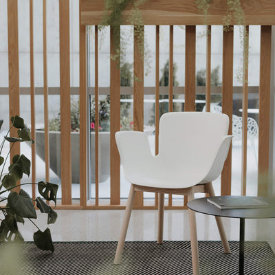 Juli Plastic - Wood Base