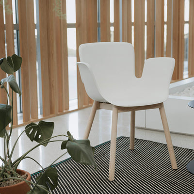 Juli Plastic - Wood Base