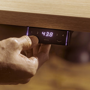 Perk Height-Adjustable Desk in lifestyle shot