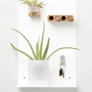 Artifox Pegs in lifestyle shot