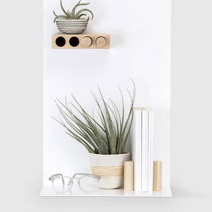 Artifox Shelf in lifestyle shot