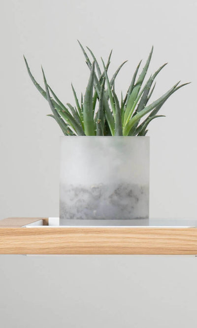 Artifox Vessel in lifestyle shot