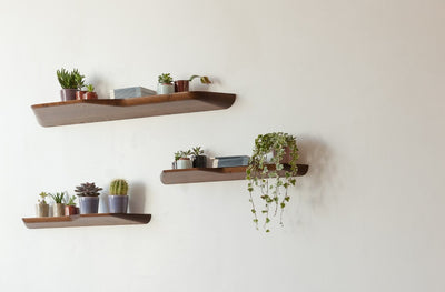 BuzziPlank in lifestyle shot