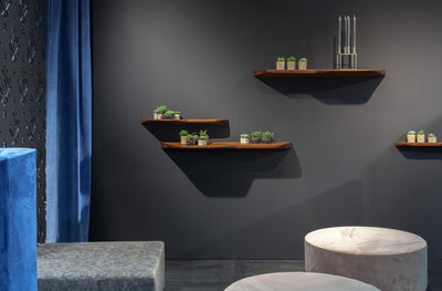 BuzziPlank in lifestyle shot