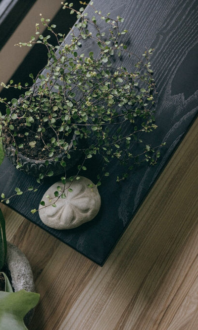 Elements Monitor Stand in lifestyle shot