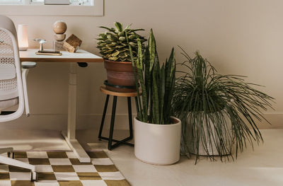 Elements 18" Stool in lifestyle shot