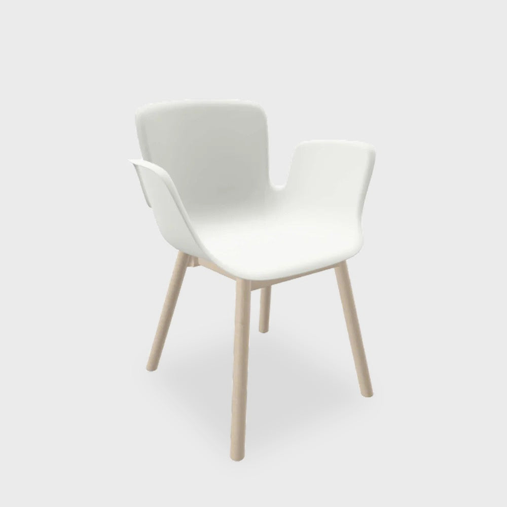 Juli Plastic - Wood Base