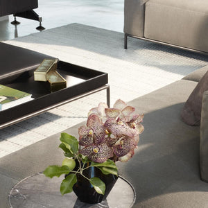 Mex-Hi Table in lifestyle shot