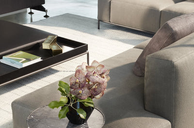 Mex-Hi Table in lifestyle shot