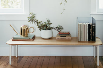 Sprig Coffee Table in lifestyle shot
