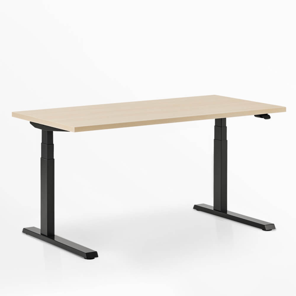 Upside Sit-to-Stand Desk - FBS 1