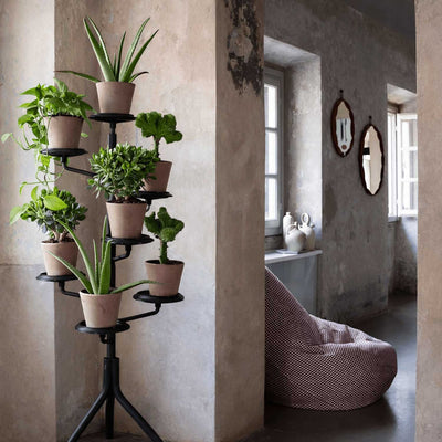 Albero Plant Stand