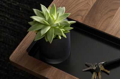 Artifox Vessel in lifestyle shot