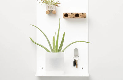 Artifox Pegs in lifestyle shot