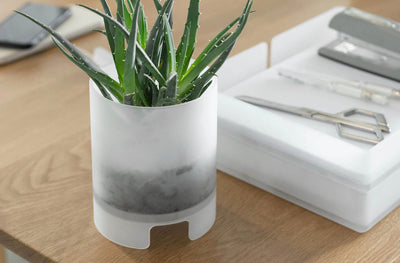 Artifox Vessel in lifestyle shot