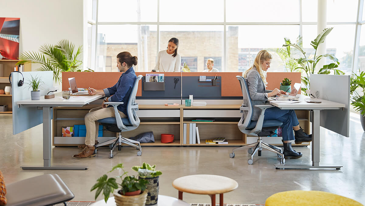 Cubicles to co-working: navigating the evolution of office spaces