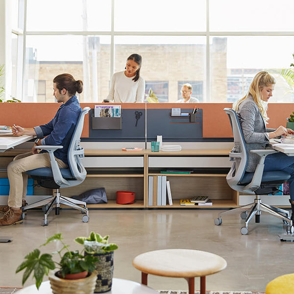 People Working In Cubicles