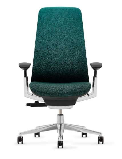 Amazon.com: Haworth Fern Office Chair – Ergonomic and