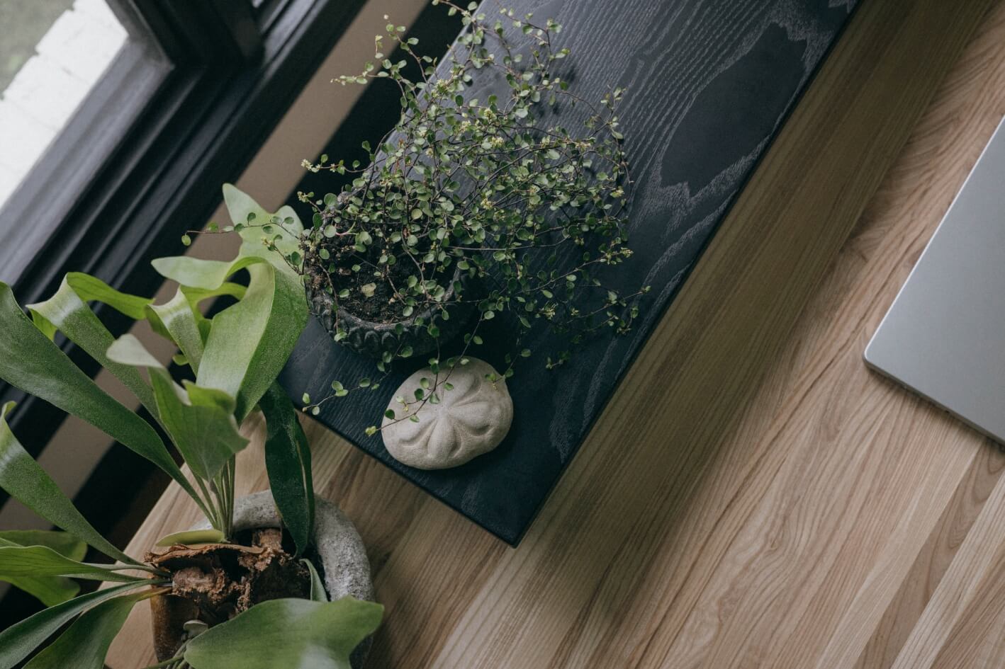 Elements Monitor Stand