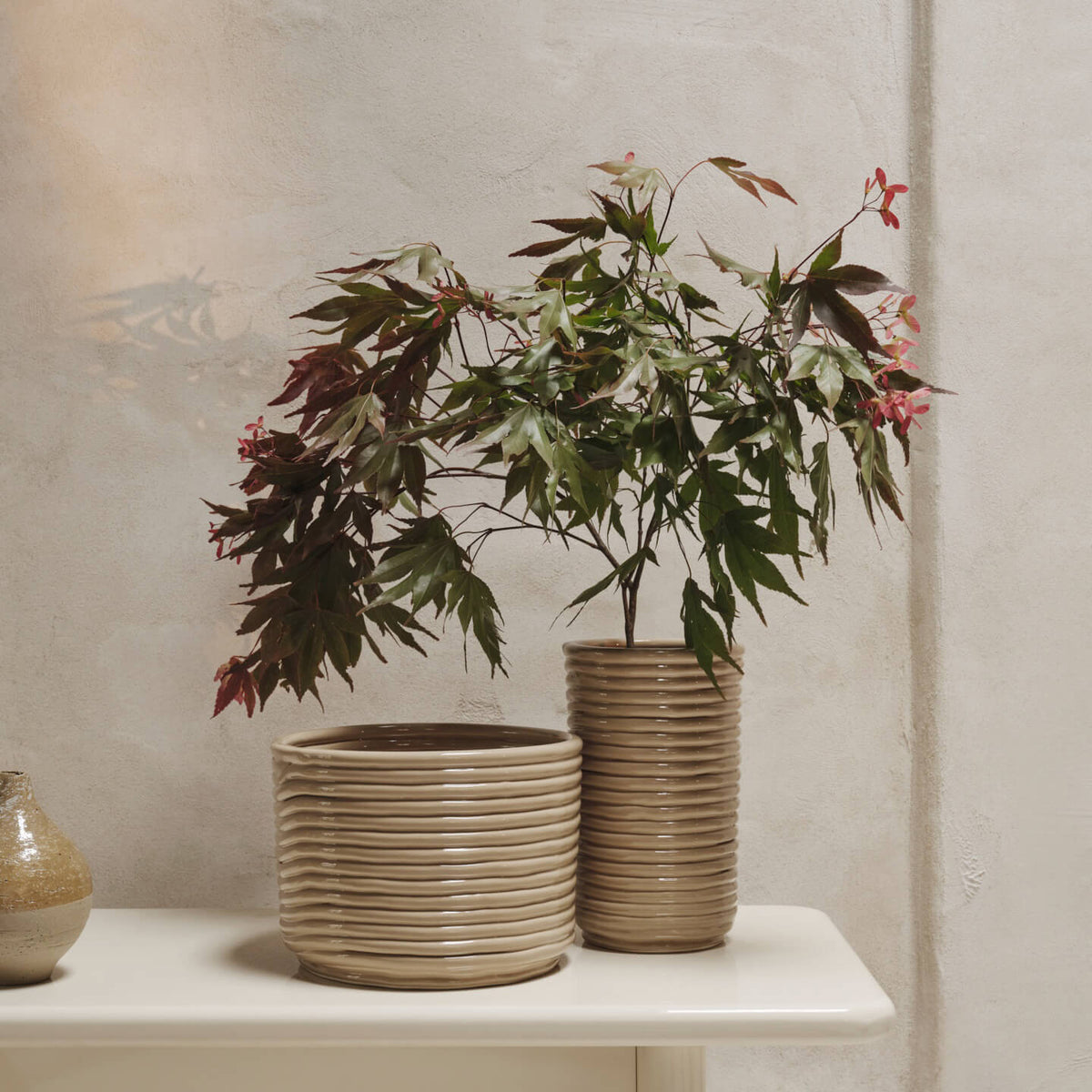 bau plant pot Bau Planter