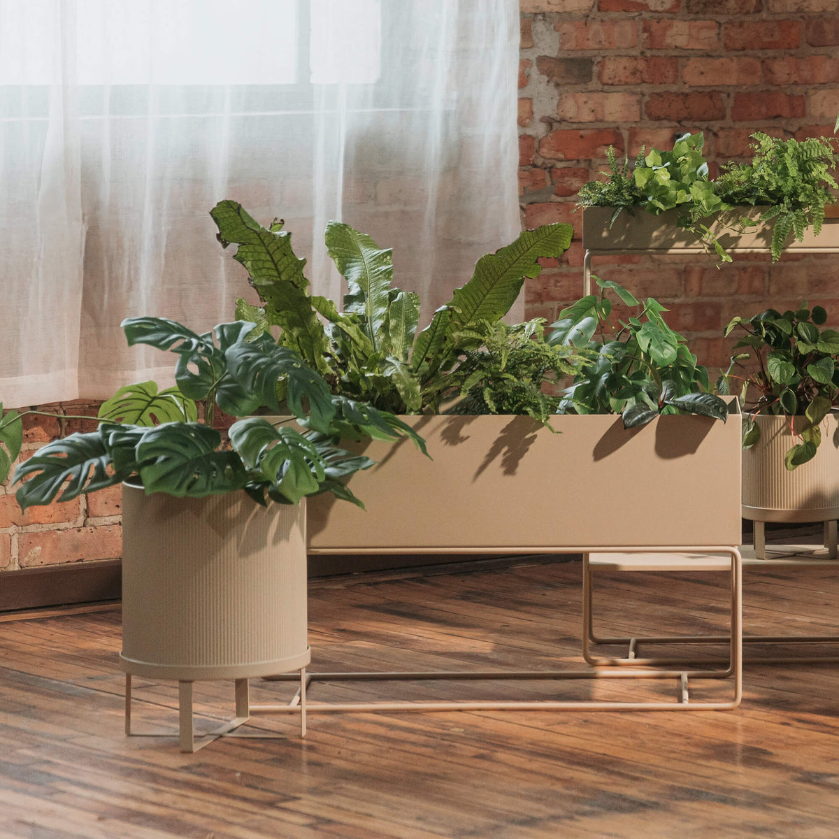 Plant Box