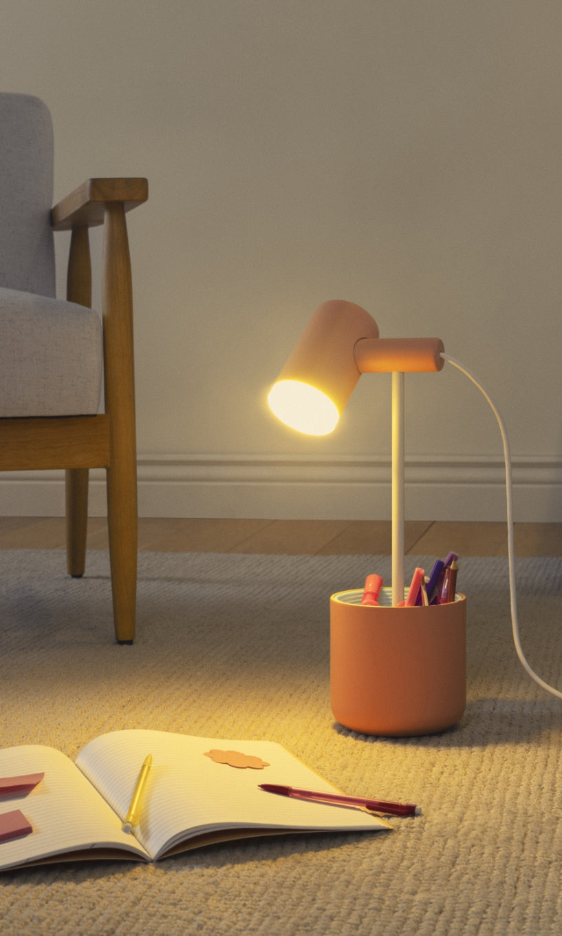 Field Trip Task Light