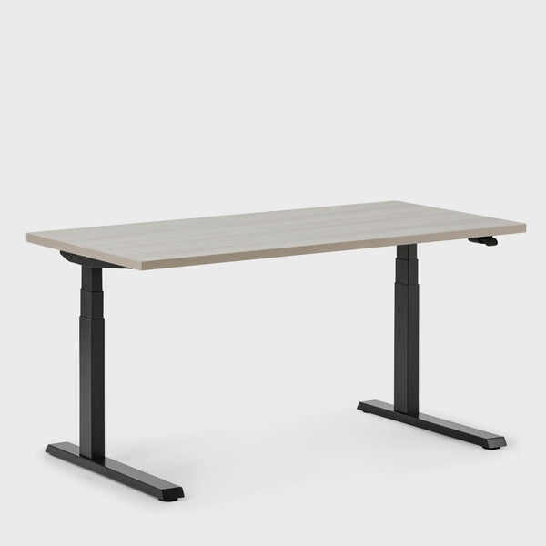 Upside Sit-to-Stand Desk - FBS 2