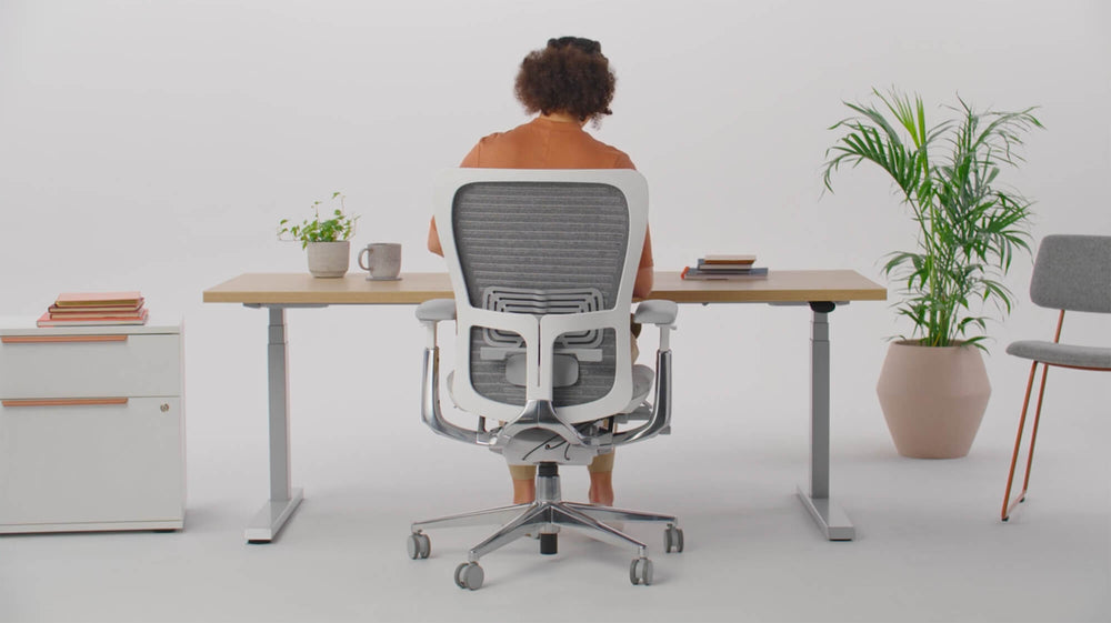Zody Office Chair